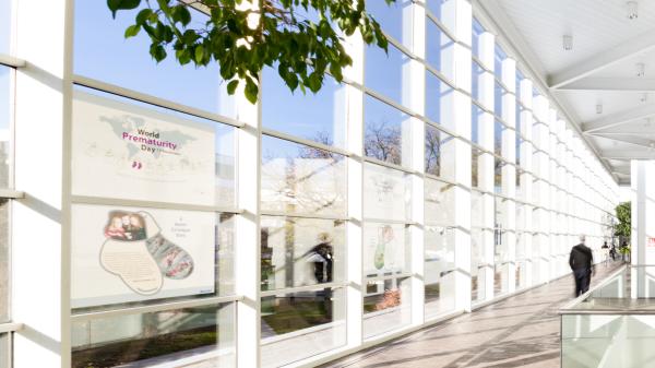 Baxter Corporate Headquarters